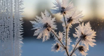 Takhle může být v únoru i březnu
