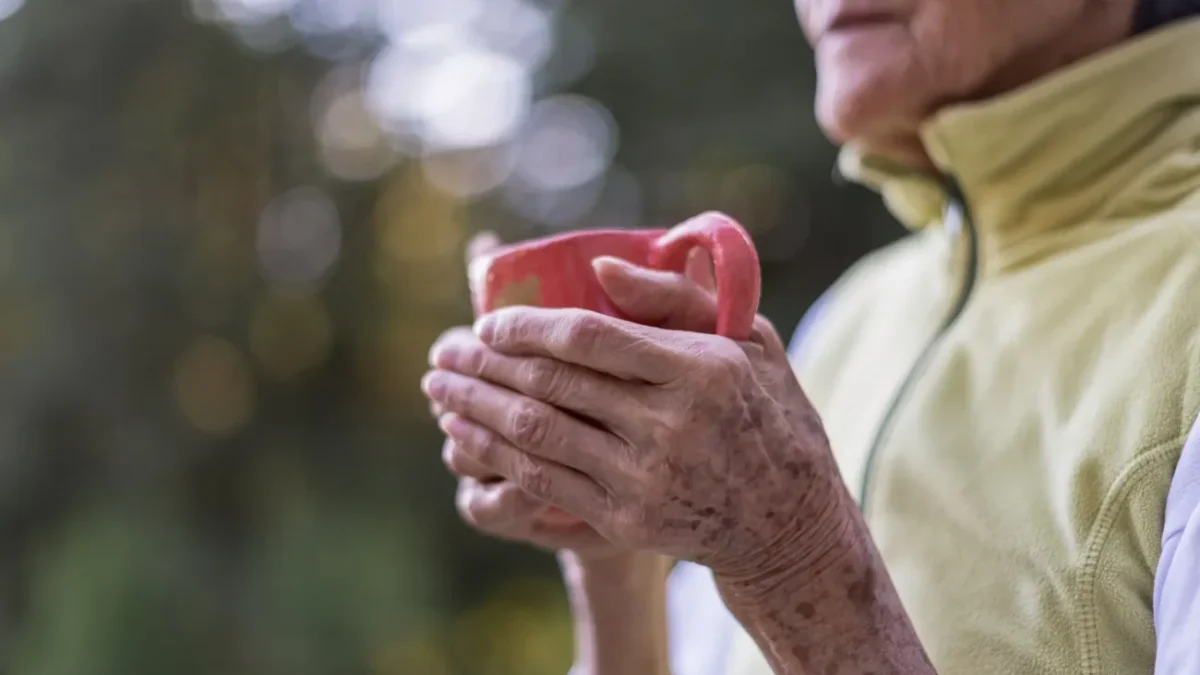 shutterstock_2469883223-2