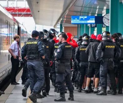 policie české republik v akci