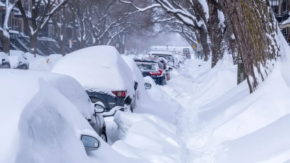 auta zasypaná sněhem