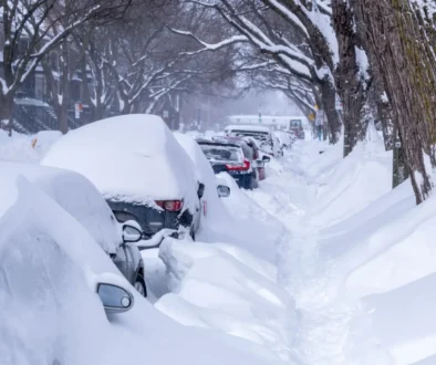 auta zasypaná sněhem