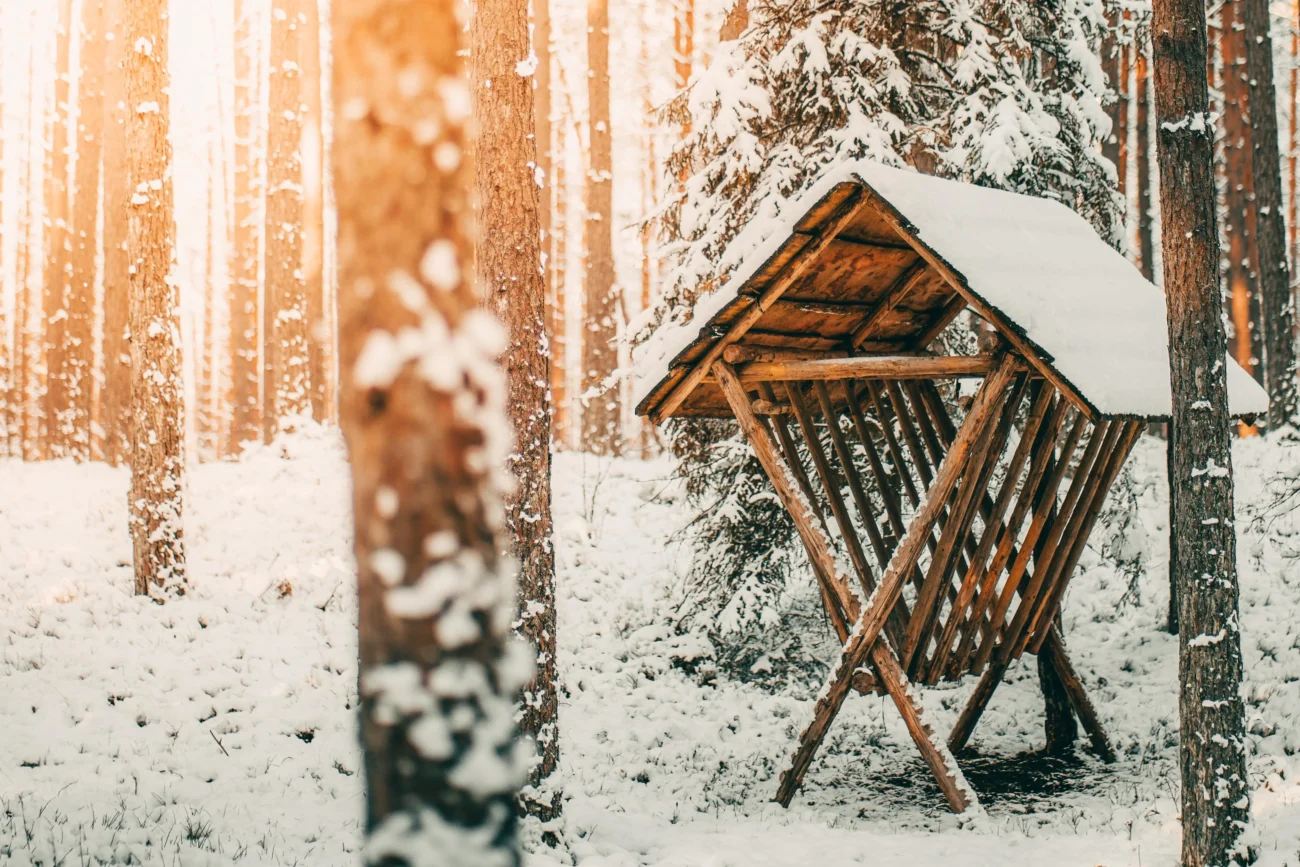 shutterstock_2231198485-min | TVGURU.cz krmelec v lese