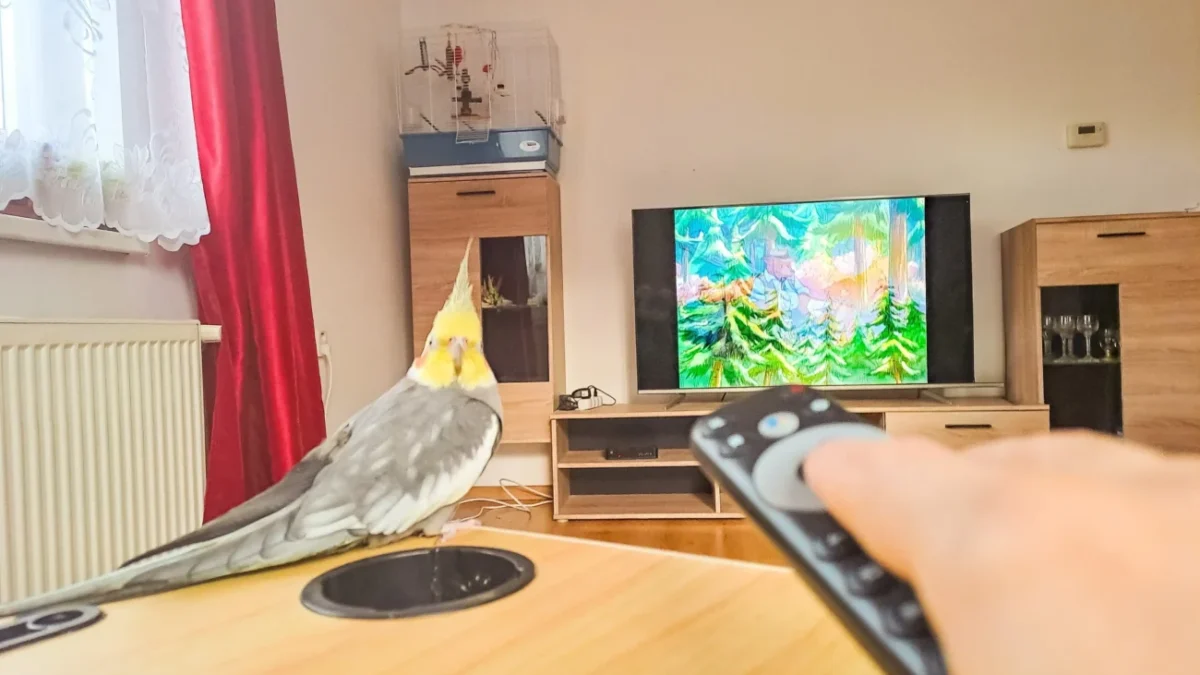 muž přepíná televizi v obýváku