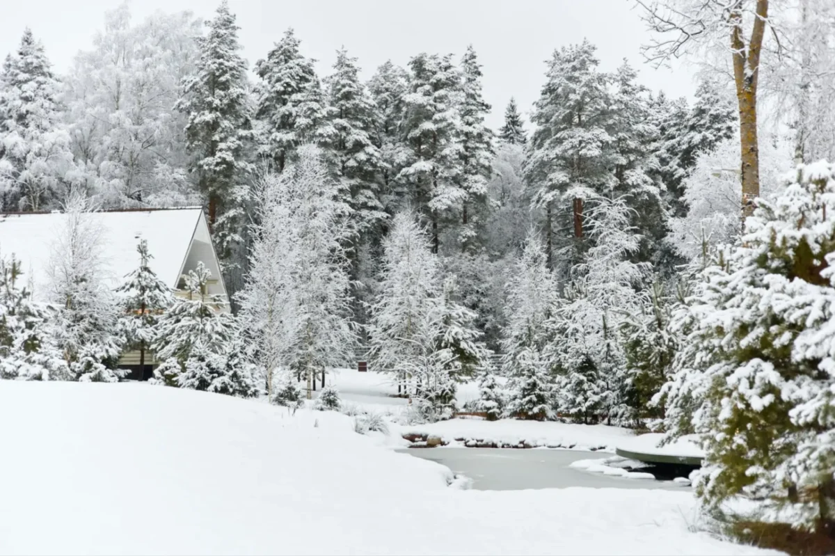 Zasněžená příroda