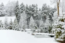 Zasněžená příroda