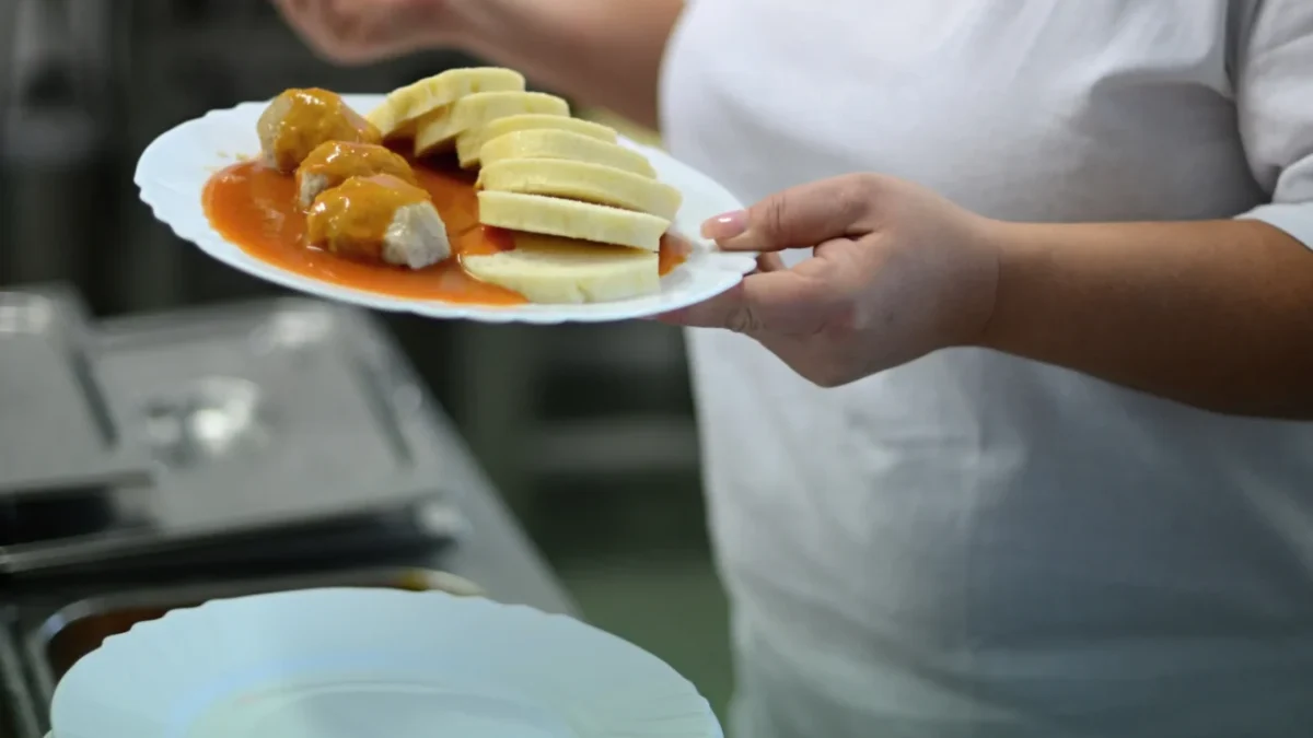 Kuchařka nandavá jídlo.