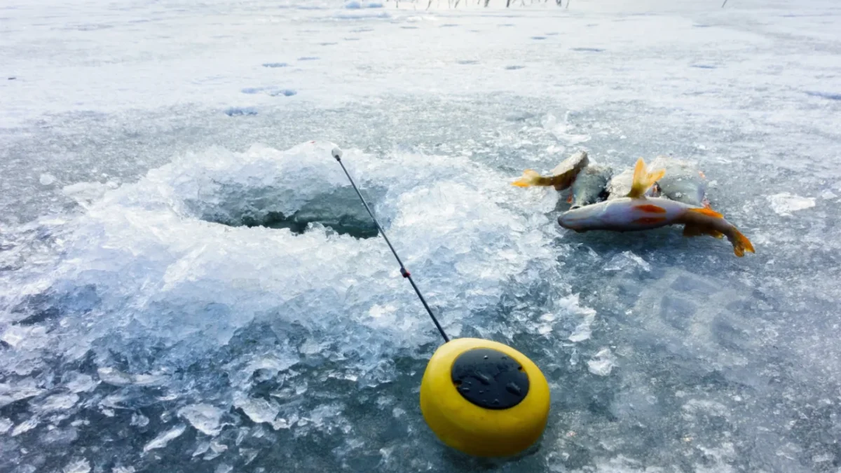 Ryba s prutem leží u díry v ledu.