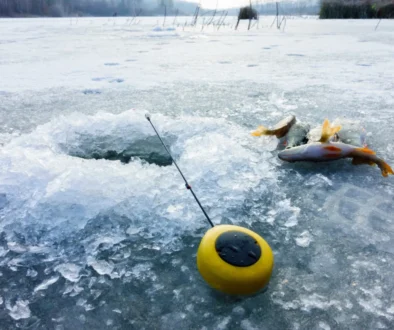 Ryba s prutem leží u díry v ledu.