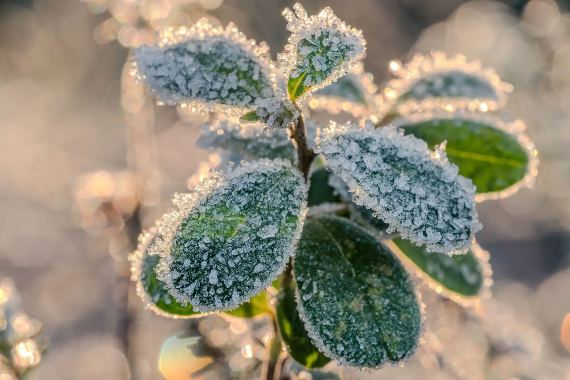 Čekáme velmi silnou námrazu a ledovku na silnicích a chodnících