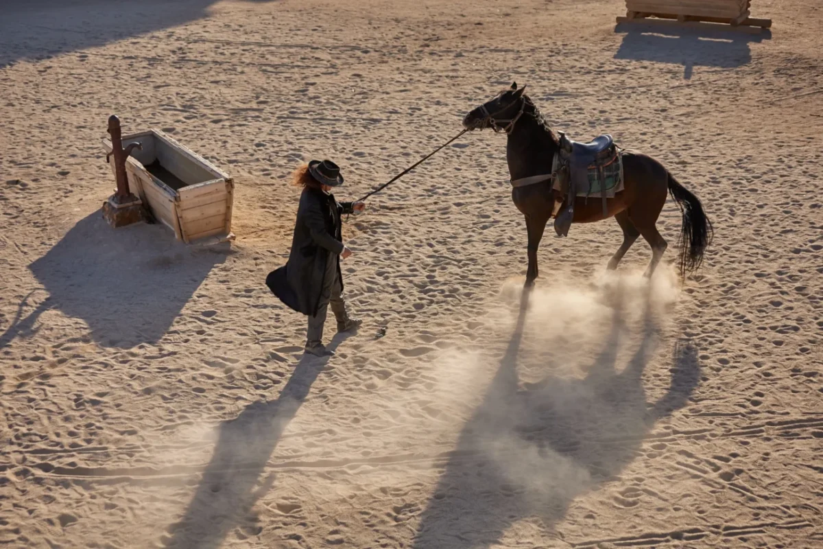 Muž drží na provaze koně.