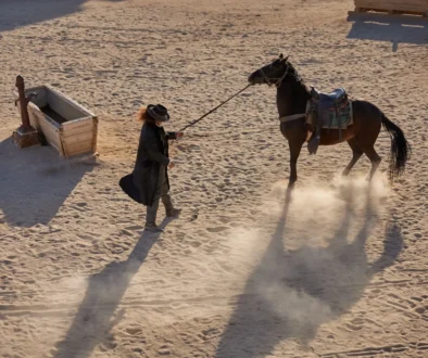 Muž drží na provaze koně.