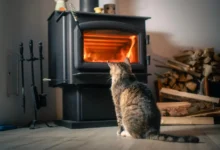 shutterstock_2513501677-2