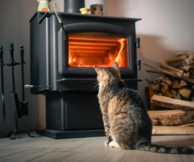 shutterstock_2513501677-2