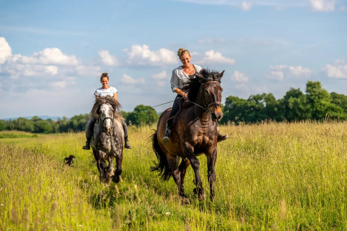 Dvě ženou jedou na koni. 