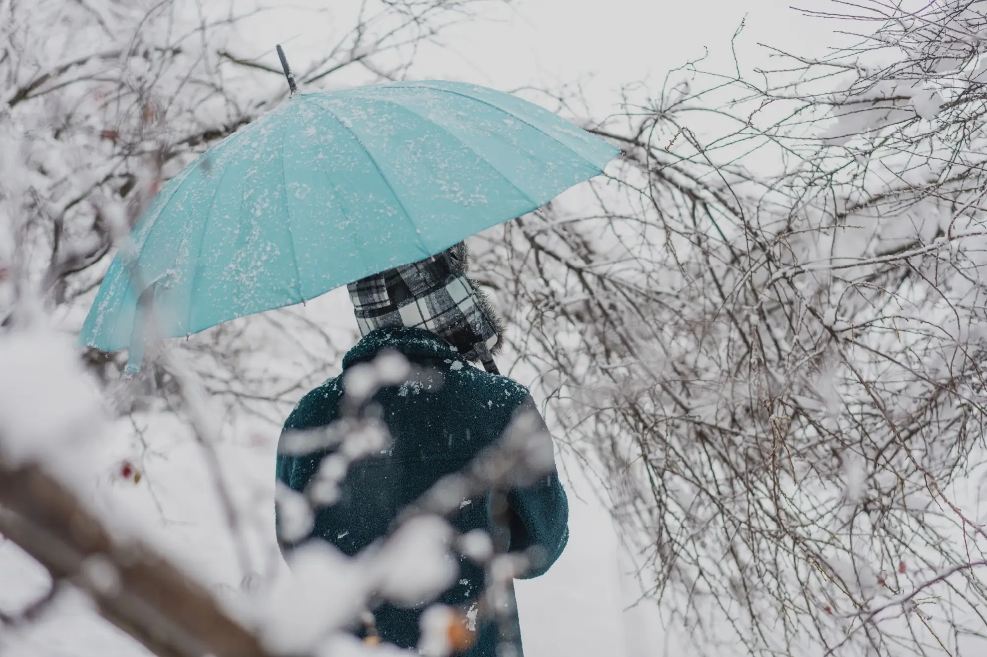 Pár dní sice pršelo, ale zima pokračuje. A nebude nás zřejmě šetřit.