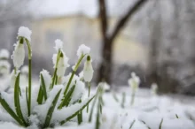 Únor bílý, pole sílí...