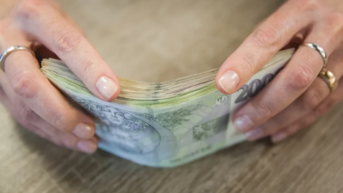 Člověk v ruce drží peníze.