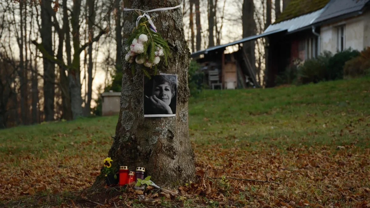 Na stromě visí fotka Olgy Havlové.