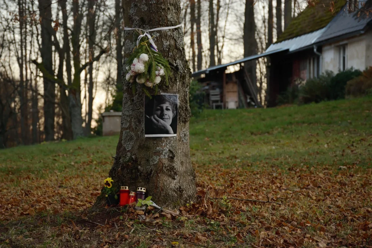 Na stromě visí fotka Olgy Havlové.