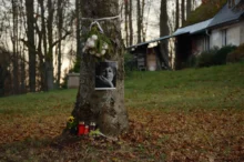 Na stromě visí fotka Olgy Havlové.