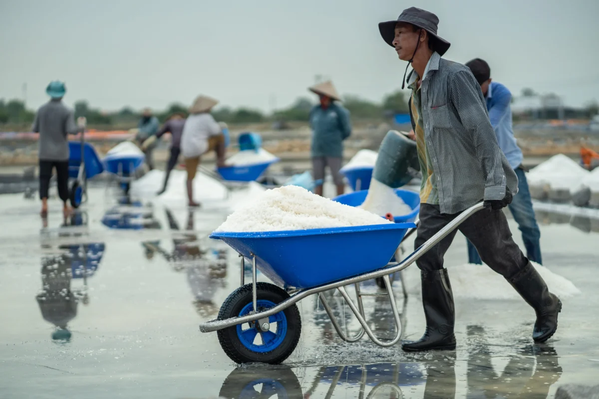 shutterstock_2716336979 1 | TVGURU.cz muž s kolečkem se solí