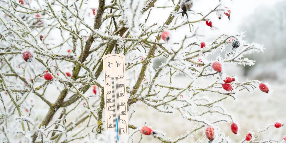 shutterstock_2565174737-2