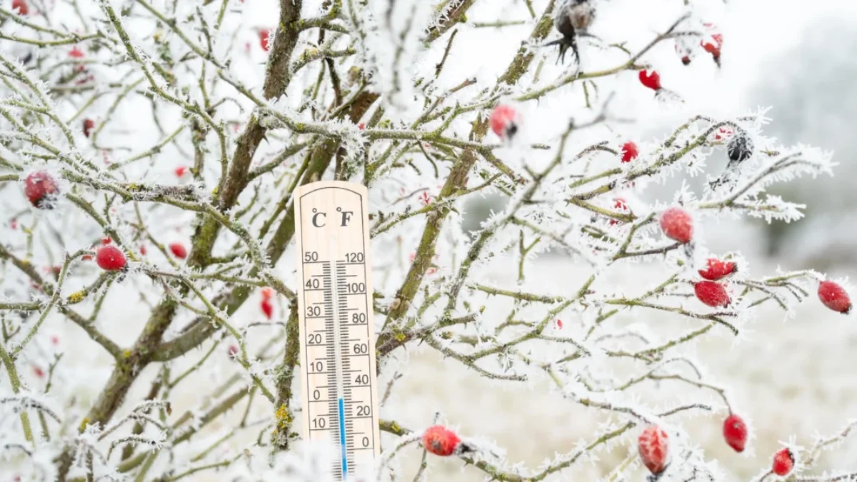 shutterstock_2565174737-2