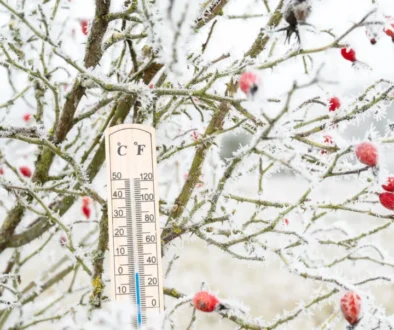 shutterstock_2565174737-2