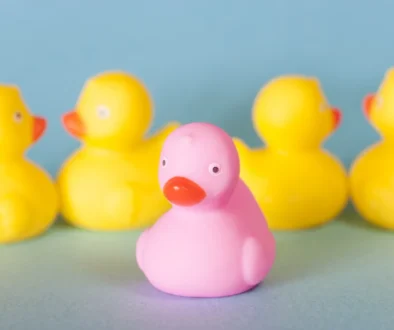 Růžová kačenka vyčnívá mezi žlutými.