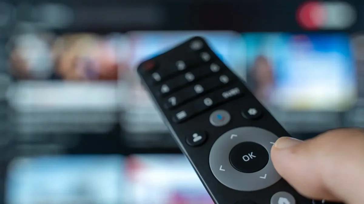 televizní ovladačka