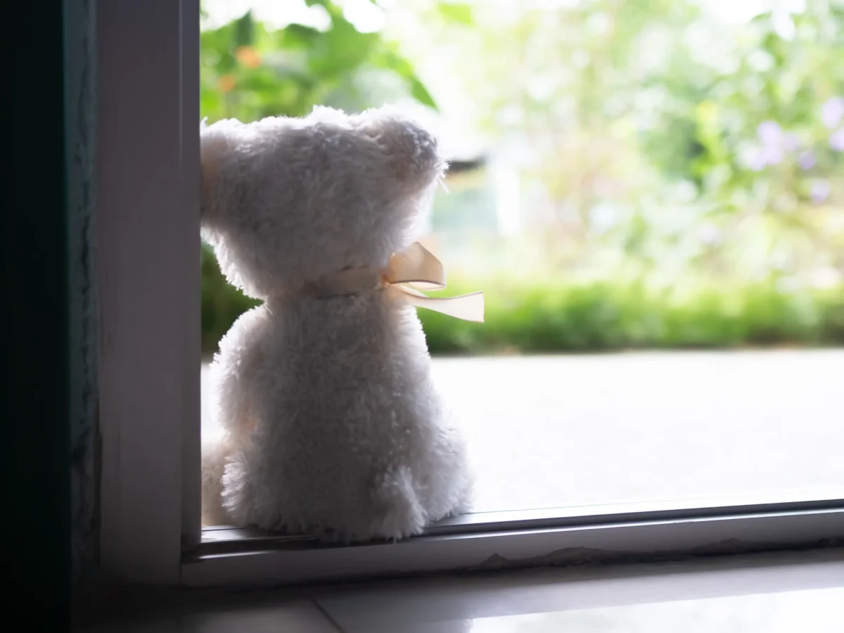 Medvídek sedí za oknem. 