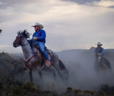 Muži jedou na koních.