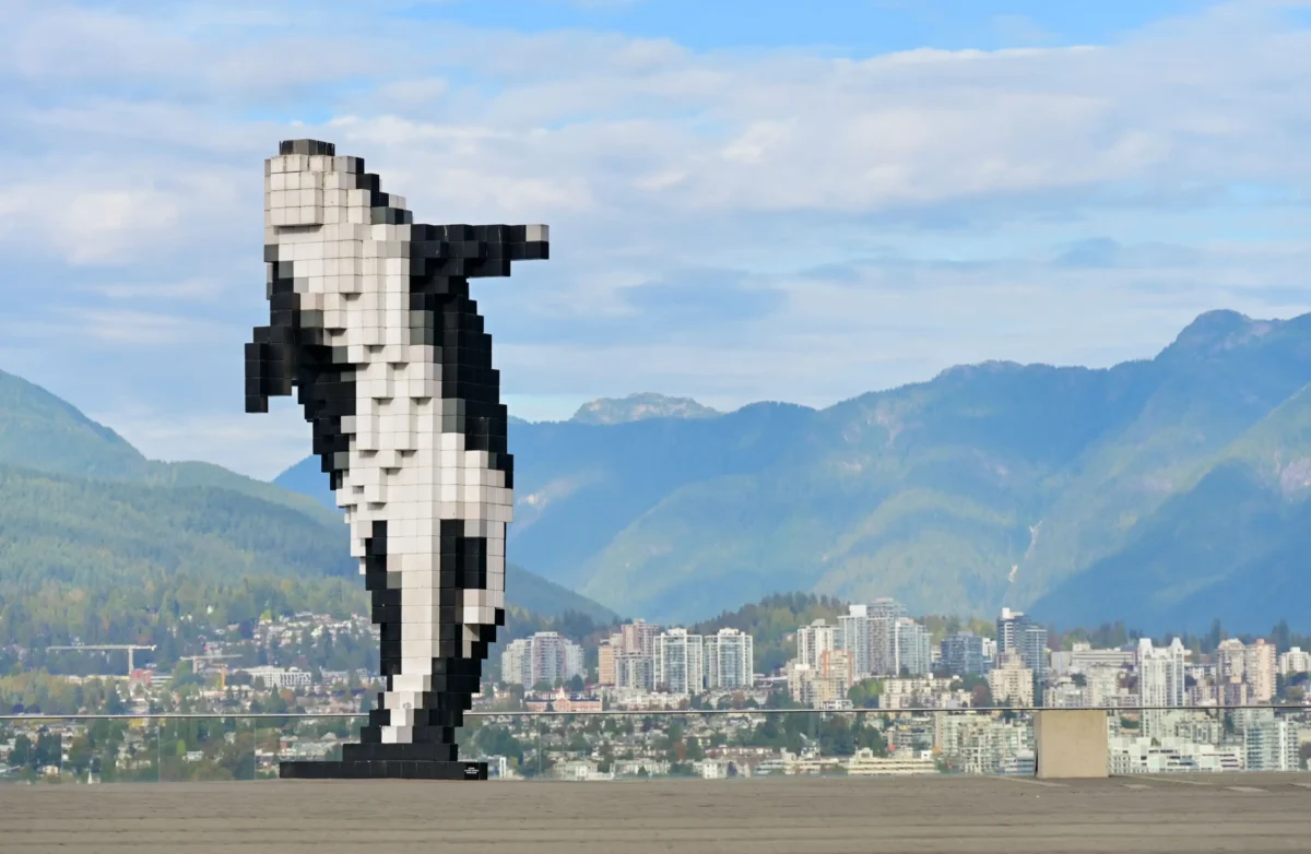 socha kosatky z kostek