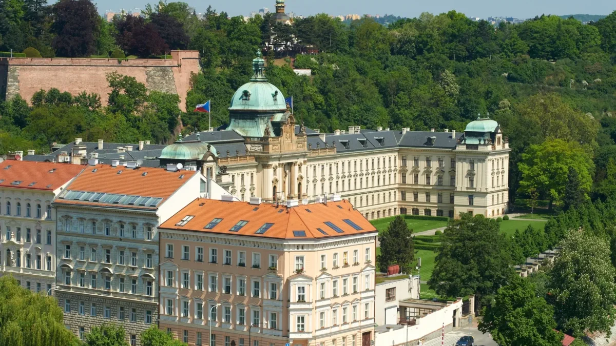 shutterstock_1219478686-2