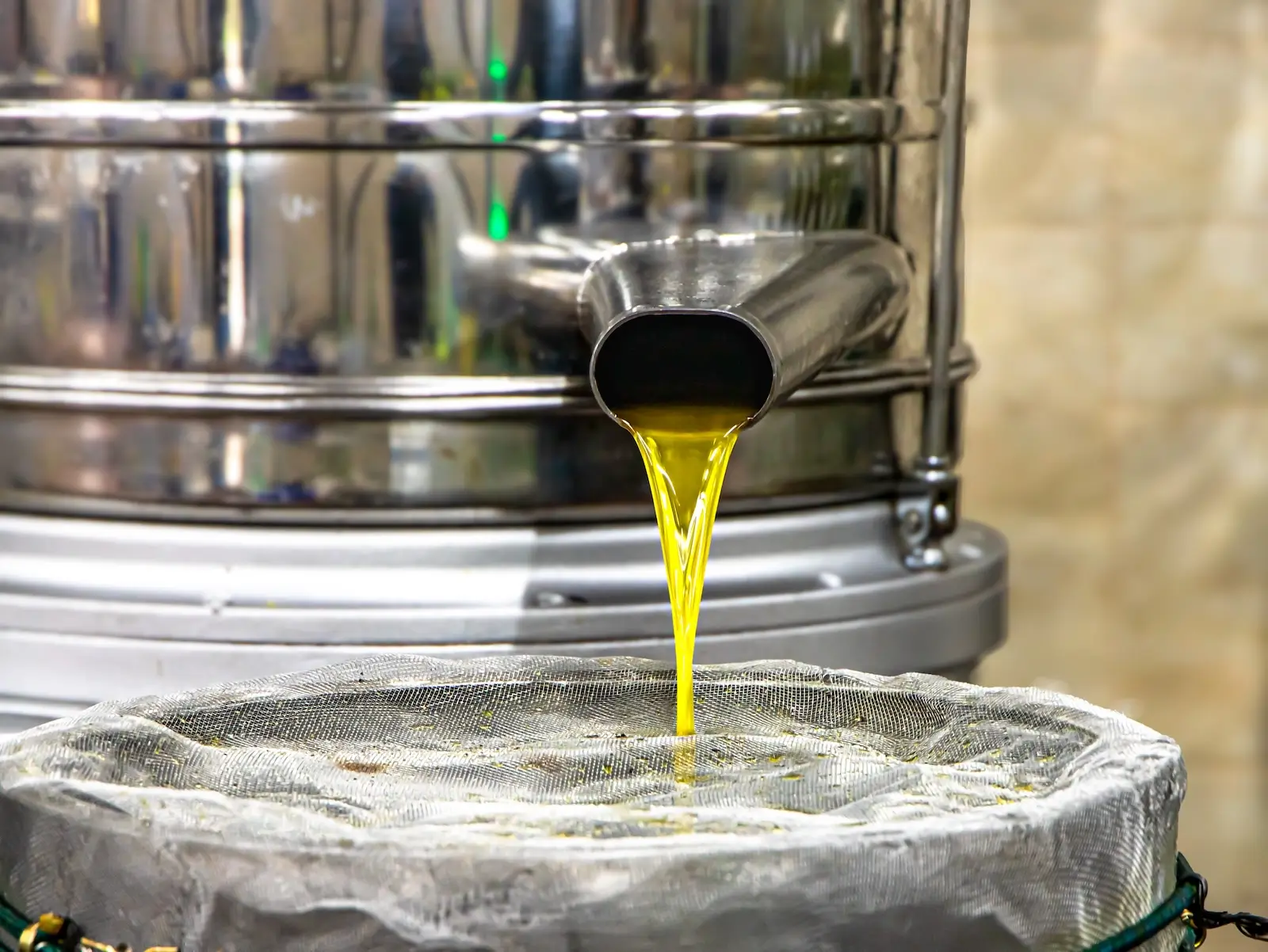 výroba olivového oleje