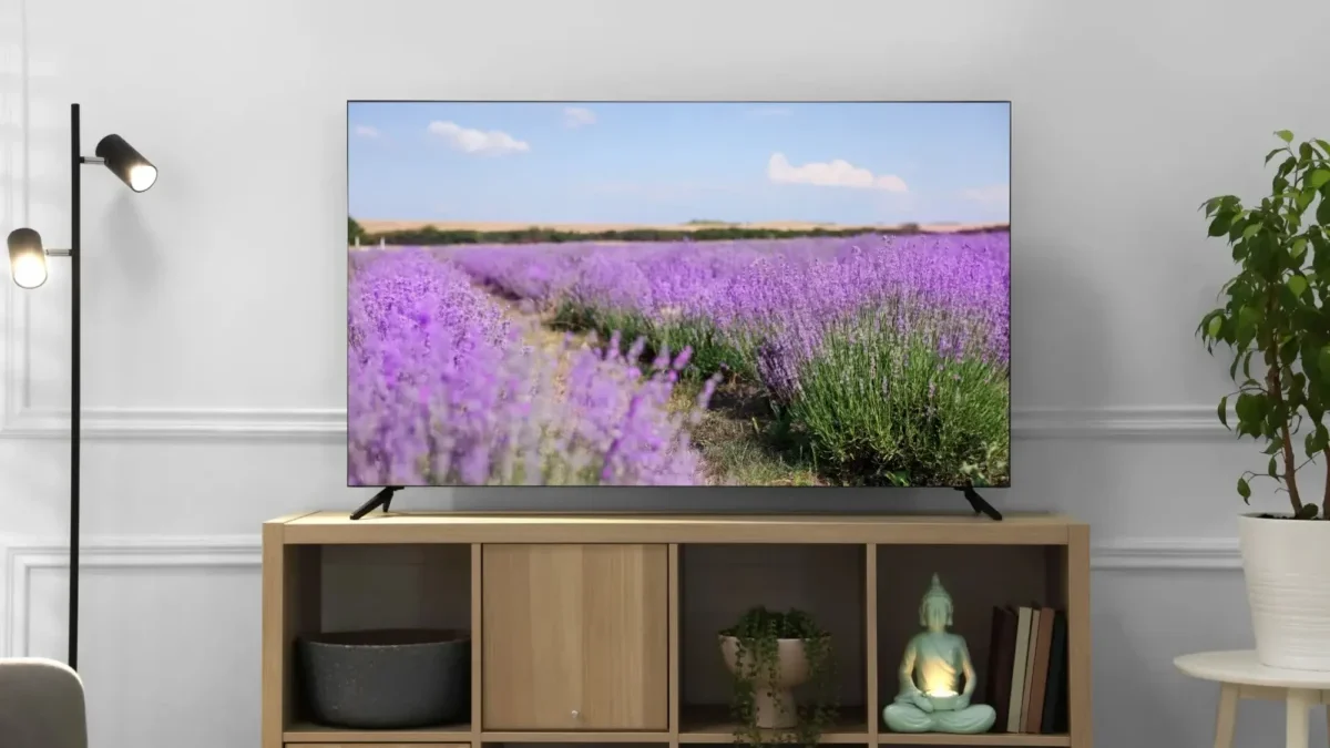 Televizní stanice vznikají i končí