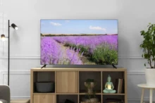 Televizní stanice vznikají i končí