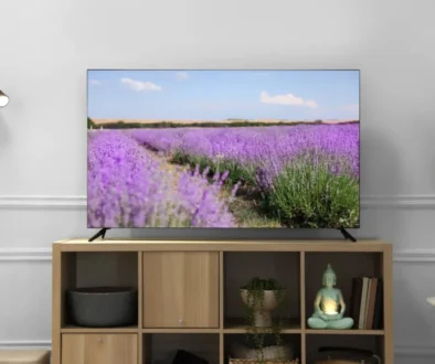 Televizní stanice vznikají i končí