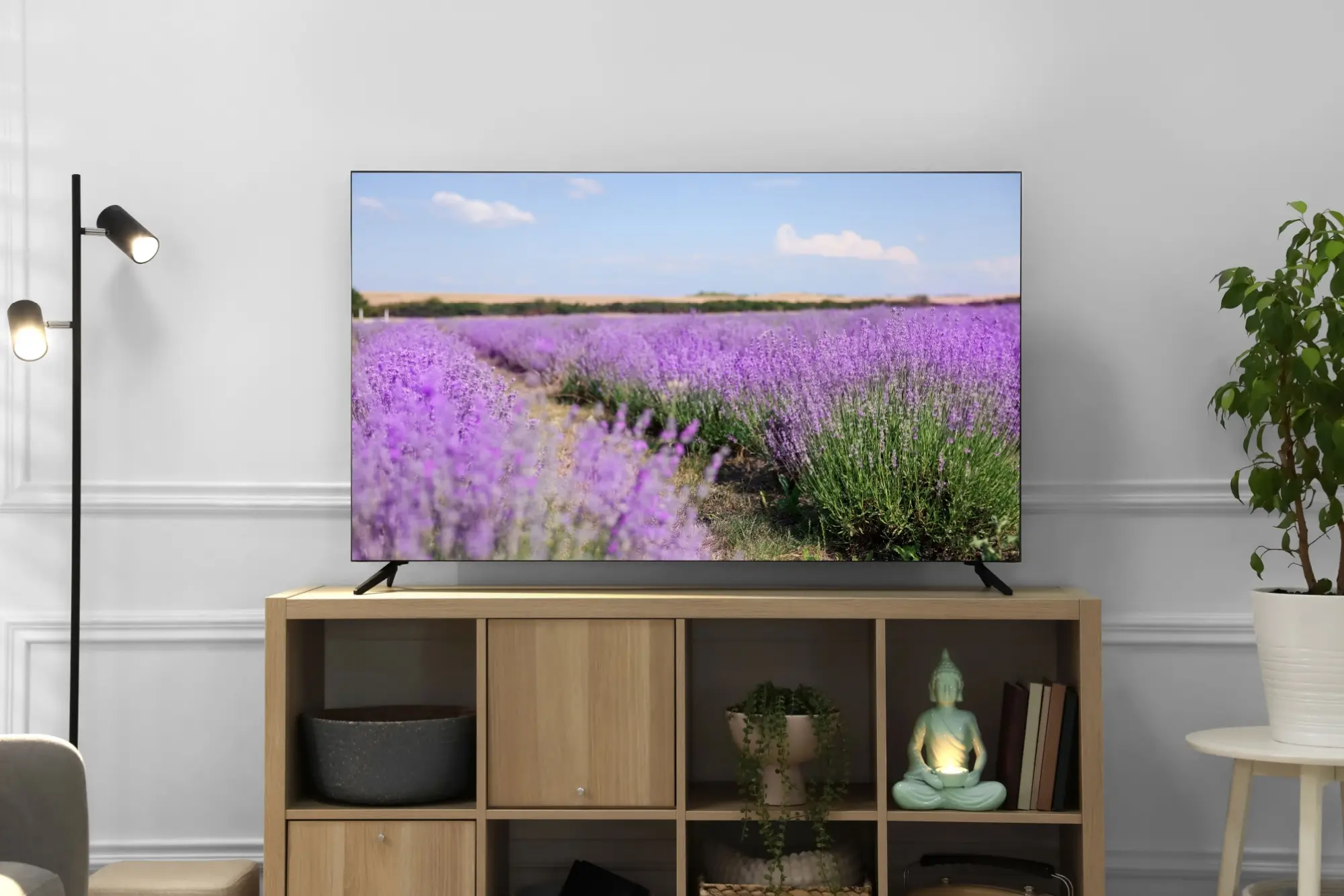 Televizní stanice vznikají i končí