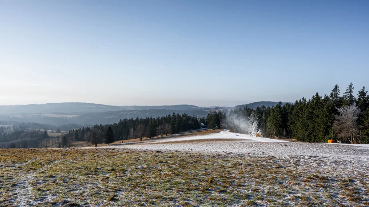 Poprašek sněhu na louce
