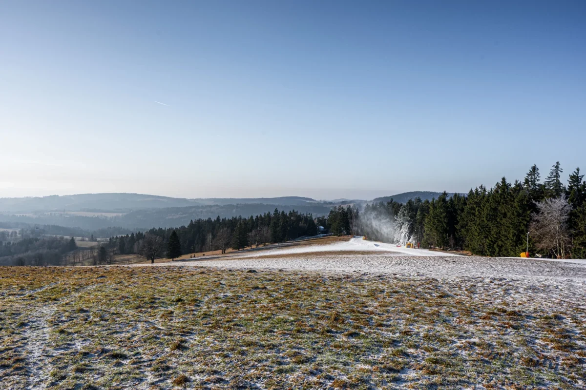 Poprašek sněhu na louce