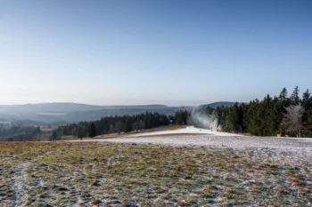 Poprašek sněhu na louce
