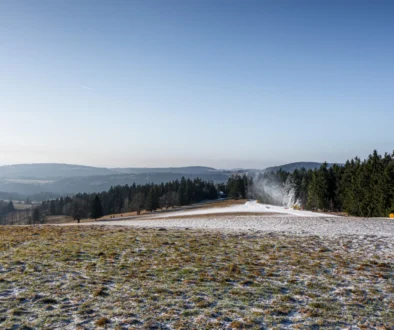 Poprašek sněhu na louce
