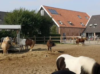 farma s koněma na venkově