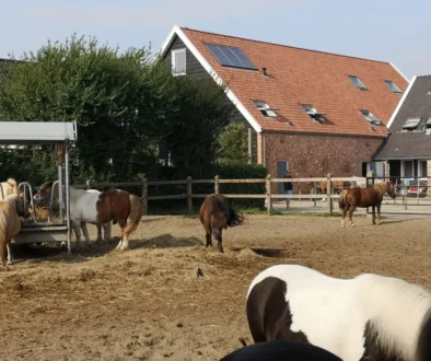 farma s koněma na venkově