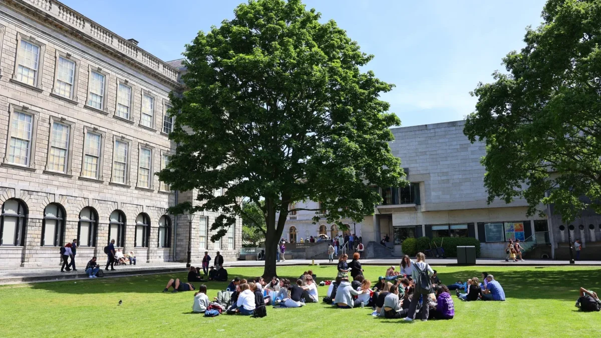 Studenti sedí na trávníku před školou.
