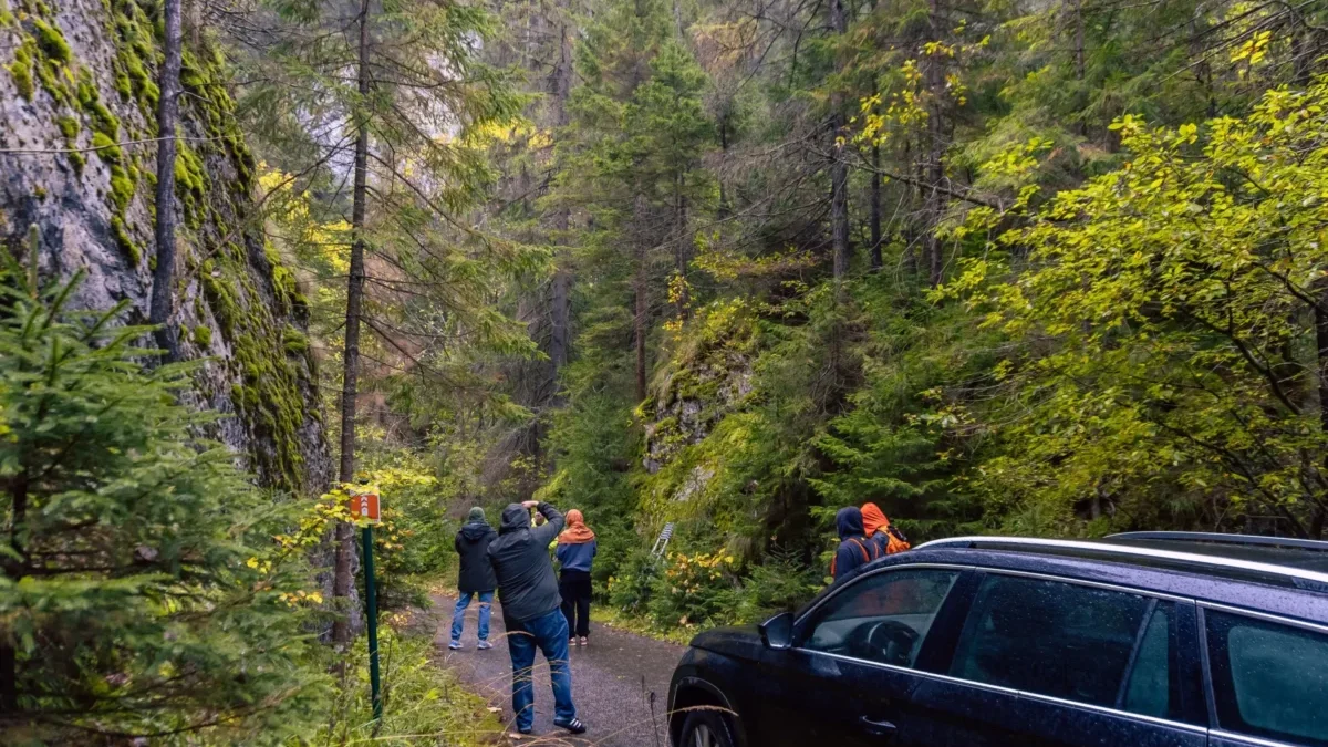 shutterstock_2528359249-2-2