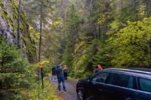 shutterstock_2528359249-2-2