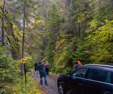 shutterstock_2528359249-2-2