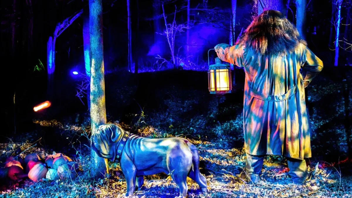 Halloweenské napodobení scény z Harryho Pottera